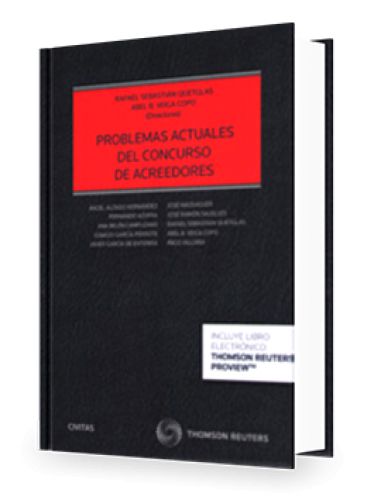 PROBLEMAS ACTUALES DEL CONCURSO DE ACREE..